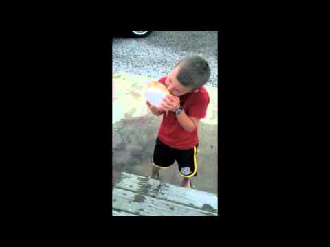 Bouncing Blowfish