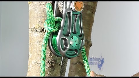 Arborist tips and tricks | Using the Marlin spike when rigging