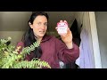 WEYON Teacher Appreciation Gifts for Women Teachers, Handmade Crochet Axolotl Desk Toy, End of Year