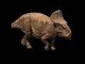 TRILOGY OF LIFE - Chased by Dinosaurs - &quot;Protoceratops&quot;