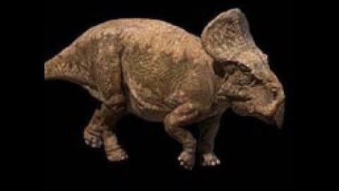 TRILOGY OF LIFE - Chased by Dinosaurs - "Protoceratops"