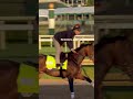 Mornings on the backside with Golden Tempo