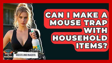 Can I Make A Mouse Trap With Household Items? - Insects and Invaders