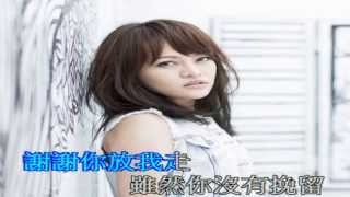 Video thumbnail of "戴愛玲 -- 謝謝你放我走(自製ktv)"