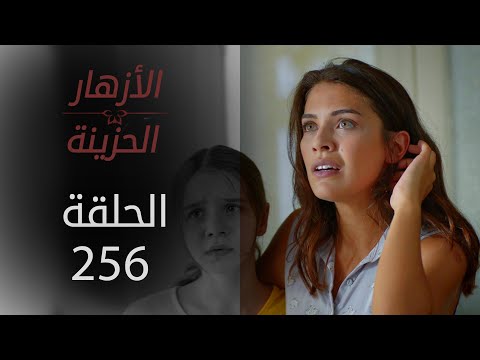 مسلسل الأزهار الحزينة | الحلقة 256  - الموسم الثاني