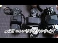 α7Ⅱ 使ってみた感じ～