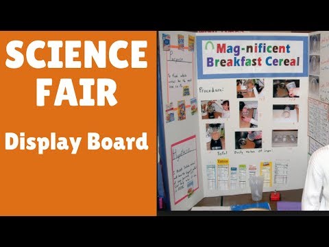 Setting up your Show-board for Science Fair