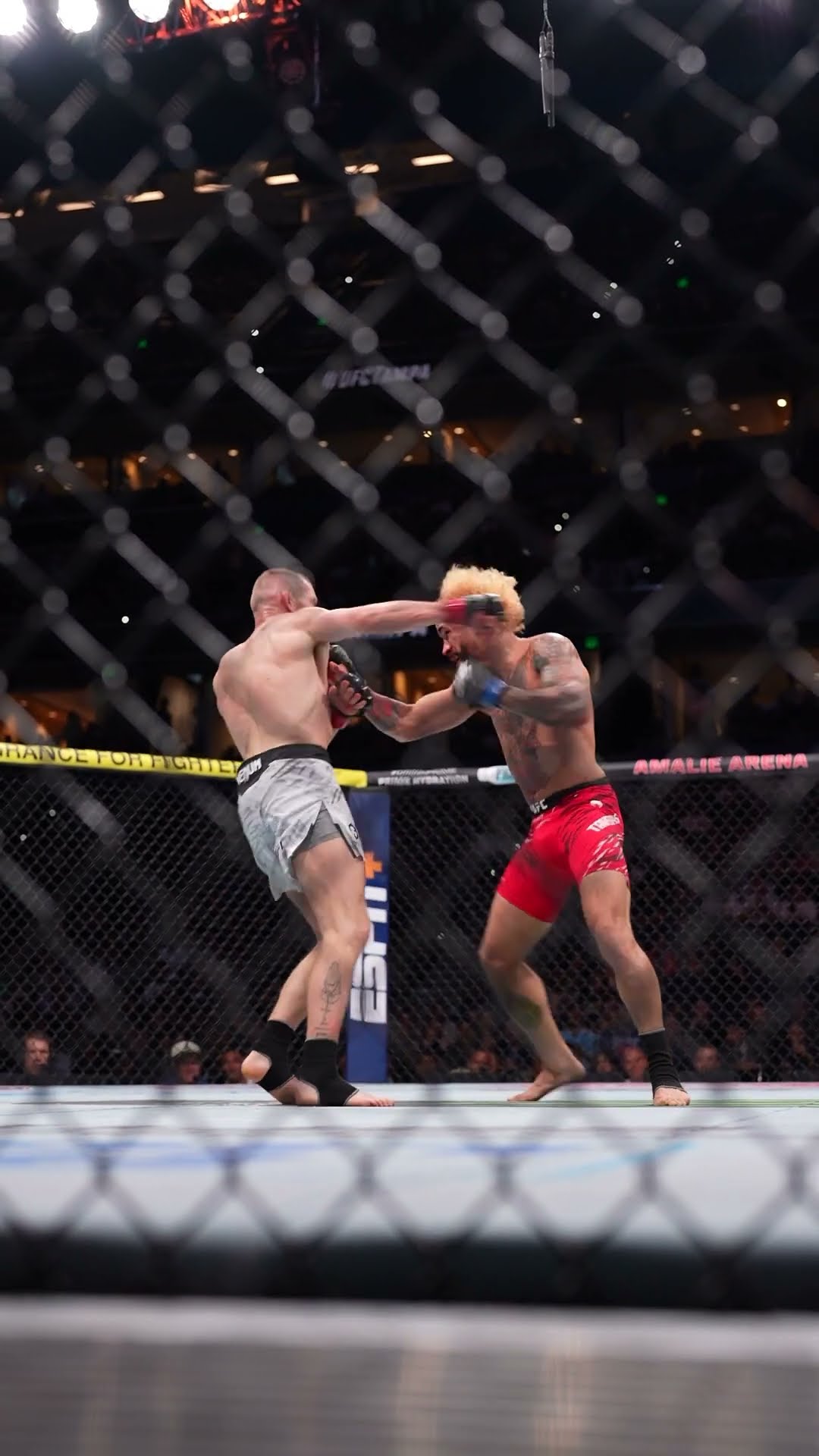 Davey Grant gets the job done! ✅ #ufctampa