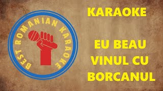 KARAOKE: N. Paleru Eu beau vinul cu borcanu Sa nu simt cum anii trec Versuri Negativ (Re min)