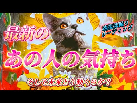 【心中激白❗️】これが最新のあの人の気持ち💗深掘りでリアルな本音、未来の動きを視ます✨個人鑑定級　透視タロット占い