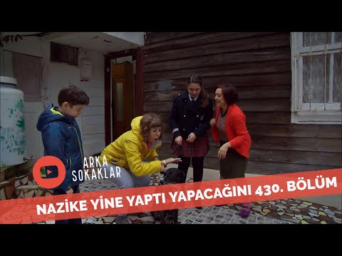 Nazike'yi Metin Tekinlerin Köpeği Isırırsa 430. Bölüm