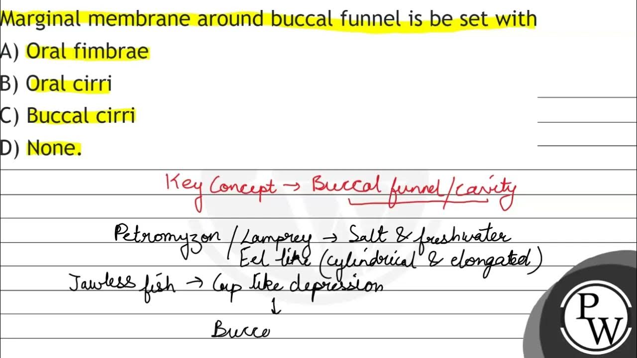 Marginal membrane around buccal funnel is be set with (A) Oral fimbrae ...