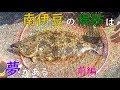南伊豆の堤防でフカセ釣り 前編 MANCING PELABUHAN IZU SELATAN SHIZUOKA