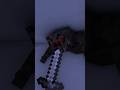 spider dave #animation #trending #minecraftanimation #minecraftshorts