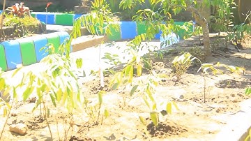 Bakti Sosial Teknologi Informasi 2015