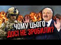 ТАМАР: Та увійдіть уже в БІЛОРУСЬ! Режим Лукашенка можна скинути. Це просто поховає Путіна