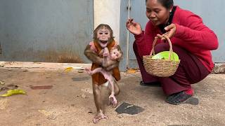 Chichi Hard Smile Help Mom To Carry Baby Monkey Going Home