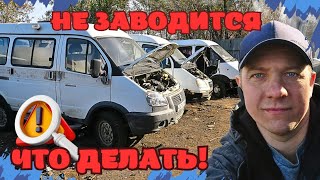 видео: ЧТО ДЕЛАТЬ ЕСЛИ НЕ ЗАВОДИТСЯ ГАЗЕЛЬ (УАЗ) ИЛИ ВСЕ СЕКРЕТЫ ДИАГНОСТИКИ картинка: ЧТО ДЕЛАТЬ ЕСЛИ НЕ ЗАВОДИТСЯ ГАЗЕЛЬ (УАЗ) ИЛИ ВСЕ СЕКРЕТЫ ДИАГНОСТИКИ