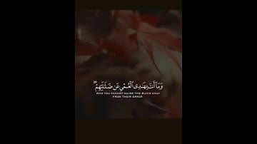 سورة النمل   القارئ إسلام صبحي   تلاوة خاشعة جميلة جدا 😌❤️   حالات واتس اب