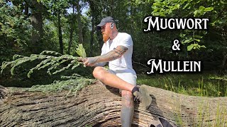 Foraging for Smudge Sticks