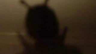 Little Alien - Nathan Gillum