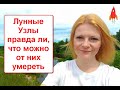 Лунные Узлы/ правда ли, что можно от них умереть