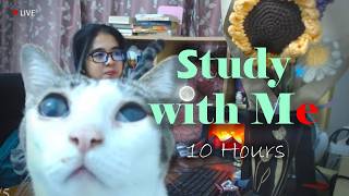 Study with Me Live ★ 6 Hours+ 50/10 ★ Computer Science