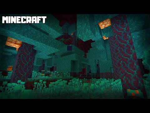 Video: Waar zijn kromgetrokken bossen in minecraft?