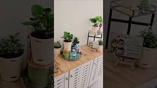 Ugaoo Indoor Plants for Home Decor | Simple Foyer Makeover