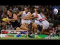 Another round 3 loss  after the dogs roar 2017  episode 11