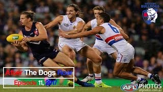 Another Round 3 Loss - After The Dogs Roar 2017 - Episode 11