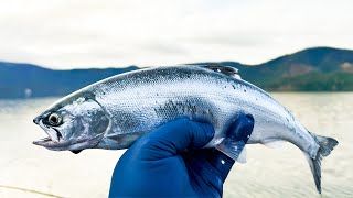 Ultimate Spring Kokanee Fishing Guide (Fish On)