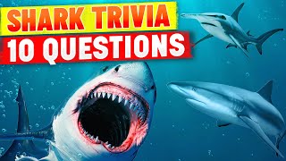 How well do you know sharks? Try this Shark Week Trivia!