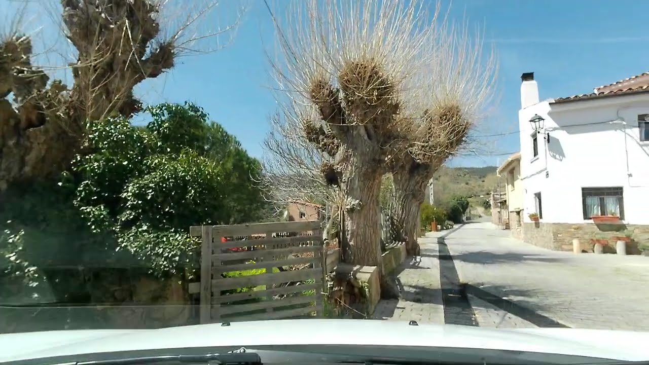 Llega a Bergasillas Somera