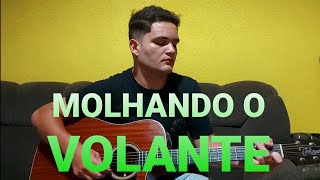 MOLHANDO O VOLANTE - Jorge e Mateus (COVER LUCA PIMENTTEL)