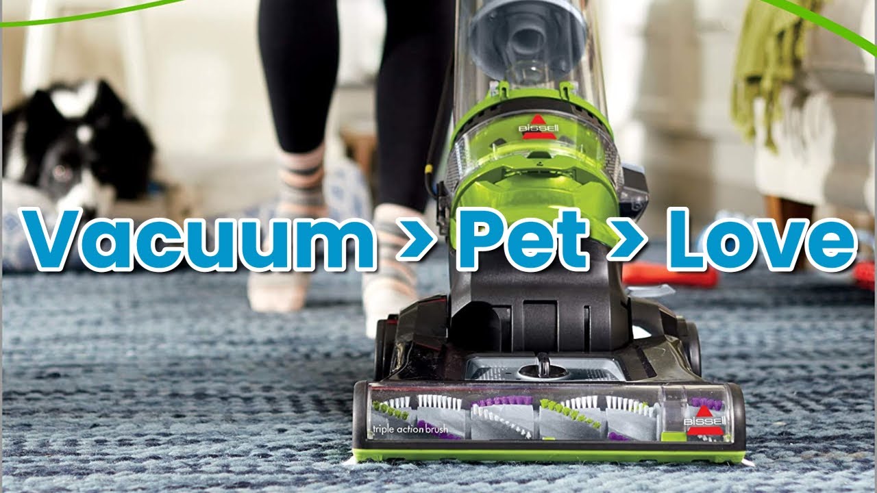BISSELL Cleanview Rewind Pet Deluxe 