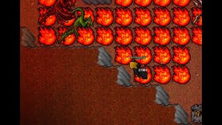 Dura (Tibia) - Elite Dragon Lord and Dragon at Venore