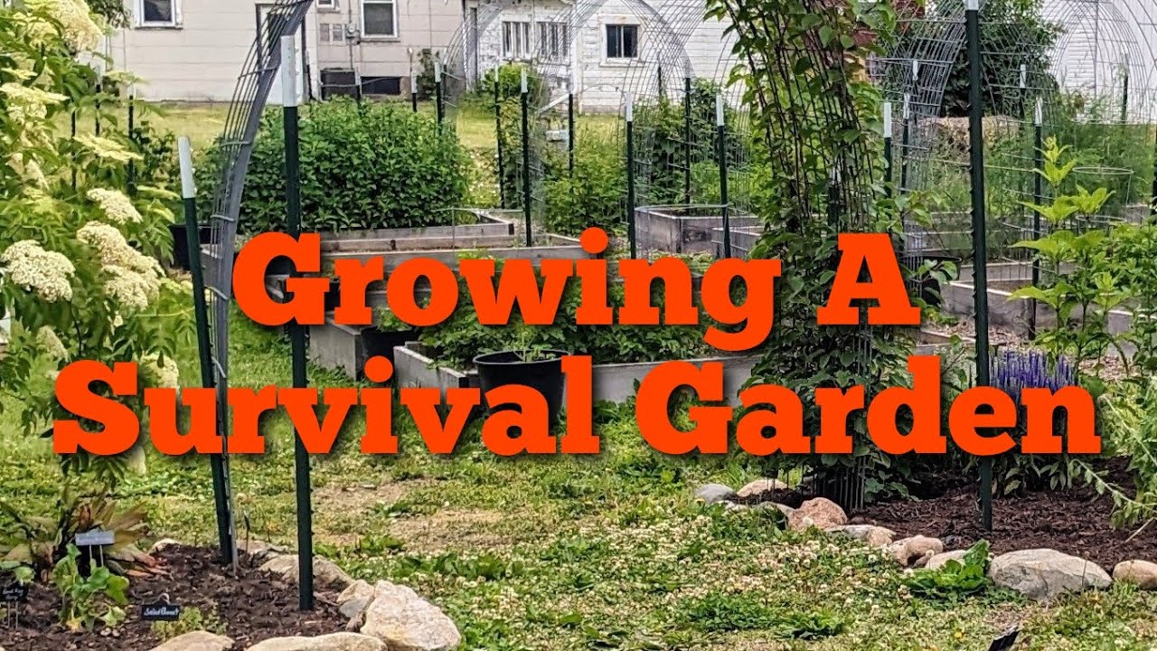 Growing a prepper's survival garden in Zone 6a - YouTube