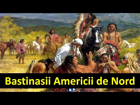 Video: Care Sunt Caracteristicile Americii De Nord