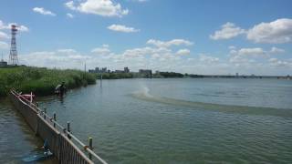 gyoutokubashi rc-boat 20160807-3