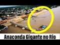 Rio Leva Cobra Gigante - (Giant Snake on the River)