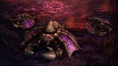 19 Drone All-In Guide ZvP