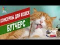 Консервы для кошек Бутчерс | Обзор консервы для кошек Бутчерс