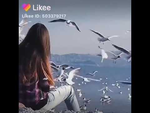 صبر ايوب يا ليل صبرت عشانك انت