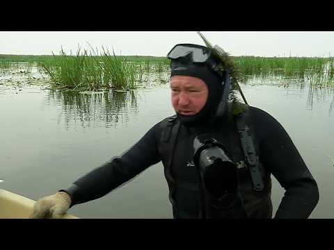 Видеокарта уловистых мест Pоссии. Сезон 2. Дельта Волги