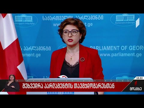 შეხვედრა პარლამენტის თავმჯდომარესთან