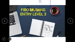 Fibo Musang : Level Entry 3