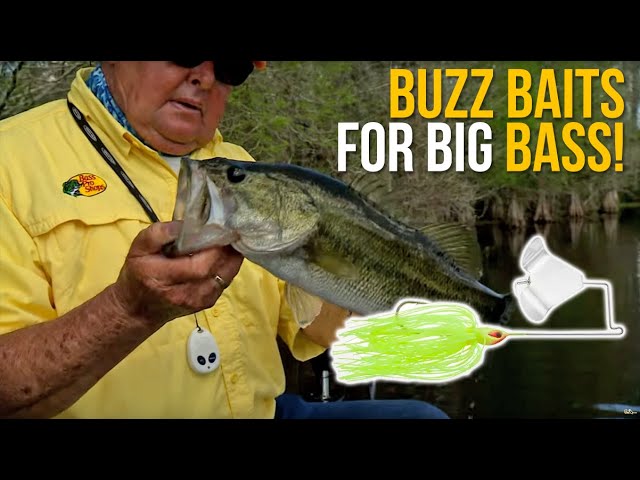 Seven Pound Bass on a Buzzbait. Topwater Largemouth Bass Fishing. 