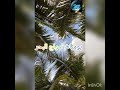 الصيف على الابواب يا عاشقين الشواطئ الصيف على الابواب يا عاشقين الشواطئ