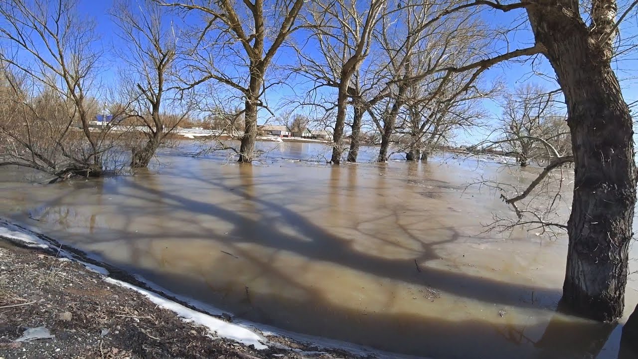 2024.Реки Вышли ИЗ БЕРЕГОВ.Отключили воду.#казахстан #youtube # ...